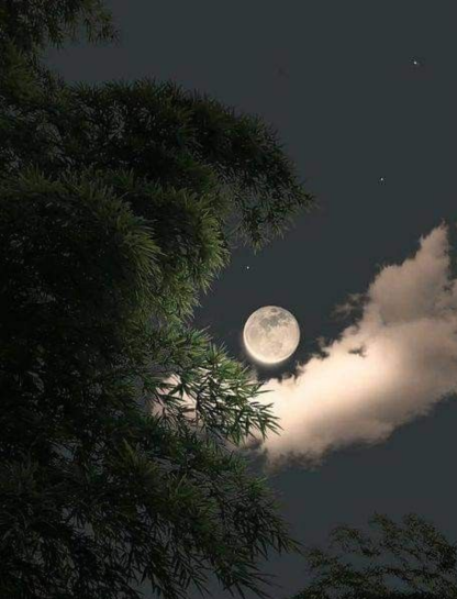 Best Moon Captions for Instagram