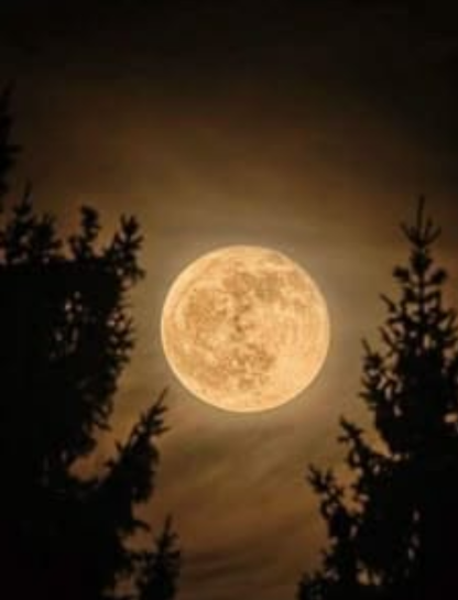 Full Moon Captions
