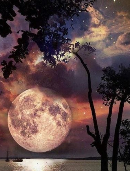 Half Moon Captions