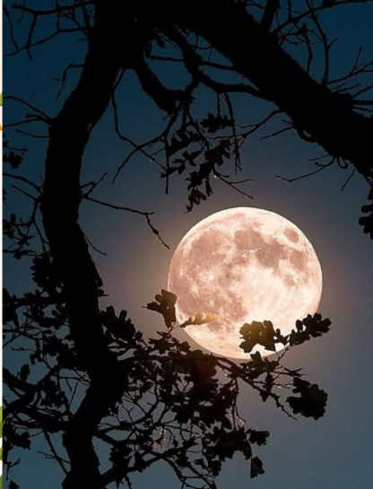Moon Light Captions for Instagram