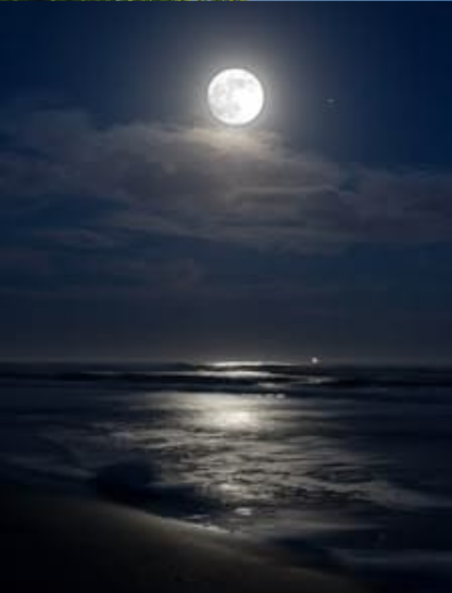 Night Vibes Captions