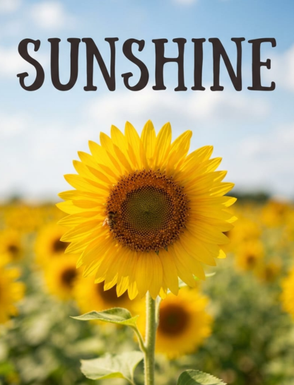 One-Word Sunflower Captions