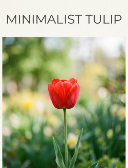 🌸 Minimalist Tulip Captions for Clean Feeds