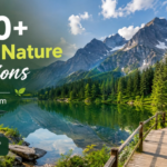 300+ Best Nature Captions for Instagram 🍃 | Funny, Peaceful & Aesthetic Ideas