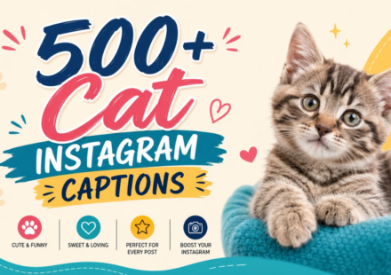 500+ Cat Instagram Captions 🐱 Cute, Funny & Trendy Ideas (2026)