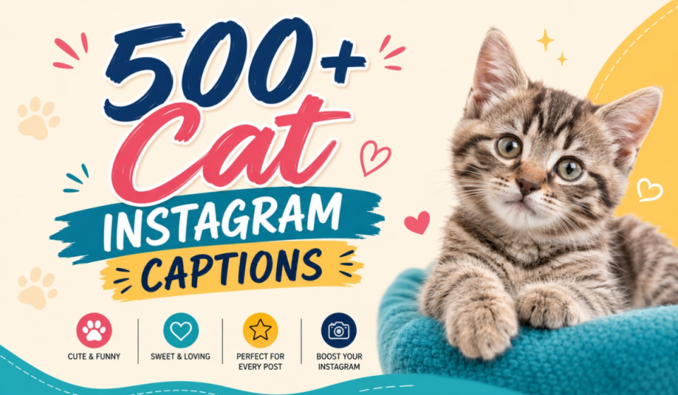 500+ Cat Instagram Captions 🐱 Cute, Funny & Trendy Ideas (2026)