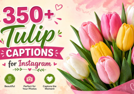 350+ Tulip Captions for Instagram 🌷 Aesthetic Spring Photos 2026