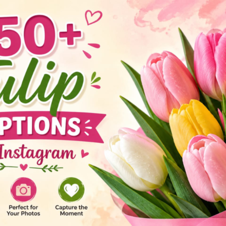 350+ Tulip Captions for Instagram 🌷 Aesthetic Spring Photos 2026