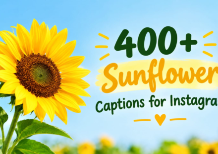 400+ Sunflower Captions for Instagram: Aesthetic & Cute Ideas (2026)